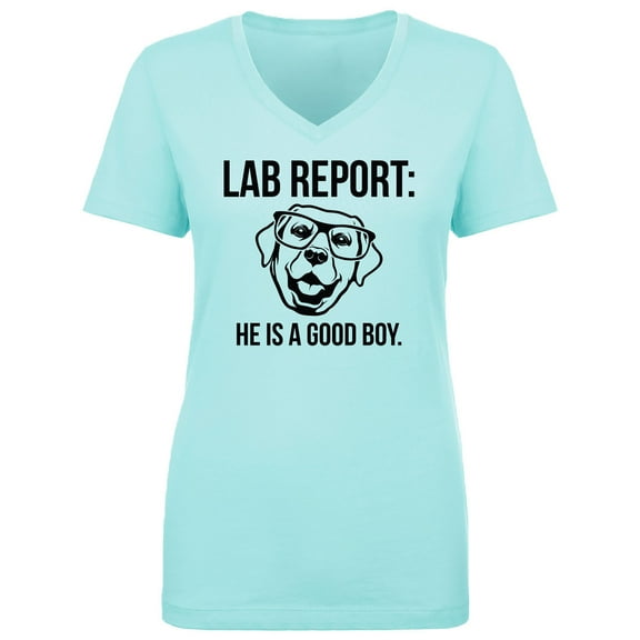 Lab Report Womens V-Neck T-Shirt