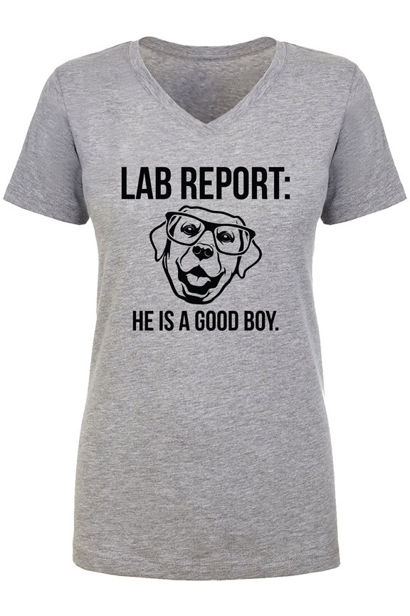 Lab Report Womens V-Neck T-Shirt