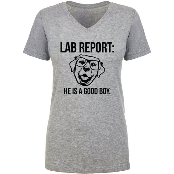 Lab Report Womens V-Neck T-Shirt