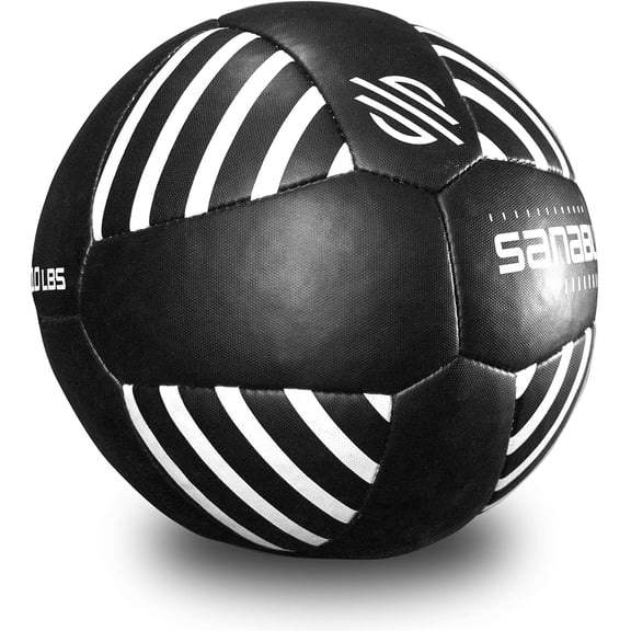 Lab Series 14-inch Medicine Ball for Exercise Cross Training Essential Core Workouts and Explosive Fitness Exercises Weighted Ball