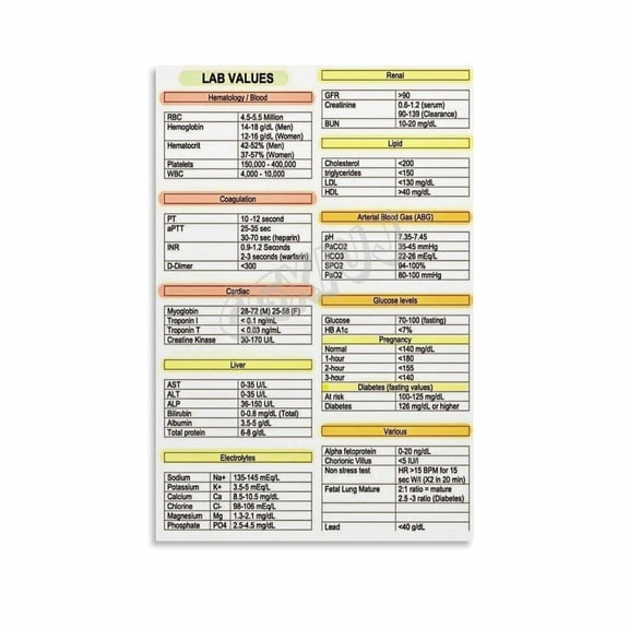 Lab Values Cheat Sheet Poster Renal Function Chart BMP Lab Values (5) Canvas Painting Wall Art