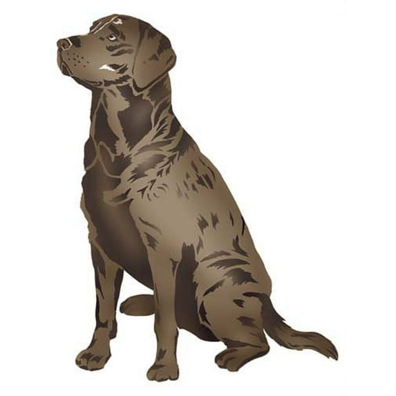 Lab Wall Stencil SKU #2697 by Designer Stencils