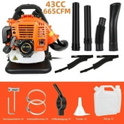 Labtec 2800 RPM at 665 CFM 43cc Gas Leaf Blower with 2-Stroke Backpack