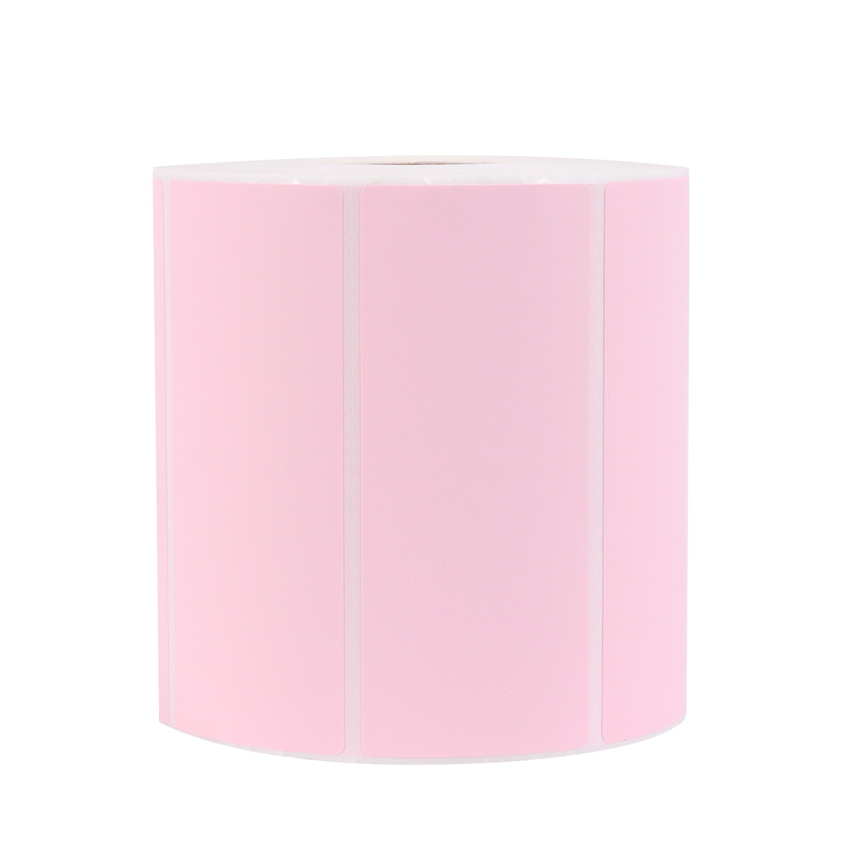 Labels Removable Inventory Stickers for Containers File Folders Markers