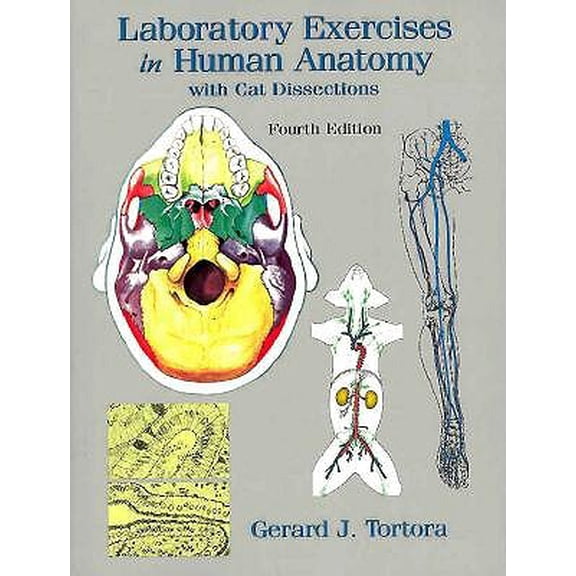 Pre-Owned Laboratory Exercises in Human Anatomy with Cat Dissections (Edition 4) (Paperback)