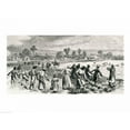 thumbnail image 1 of Labour in the Cotton Fields, Hoeing the Young Plants Poster Print by Alfred r. Waud (24 x 18), 1 of 1