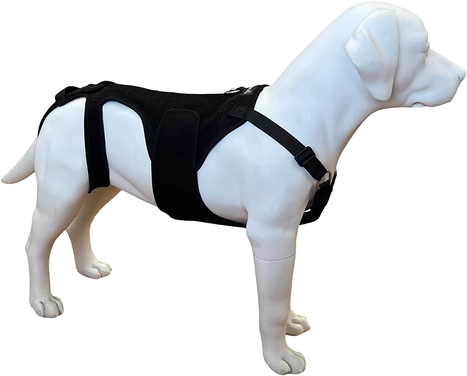Leg Brace Labra Dog Brace Dog Cruciate Ligament Knee Brace By