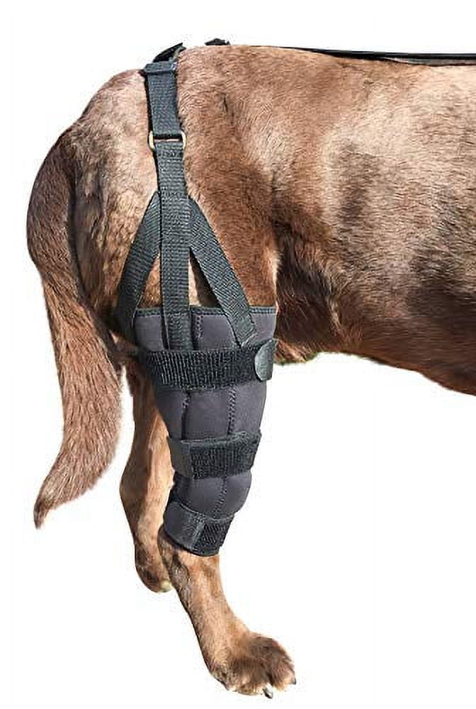 Stifle brace for dogs top