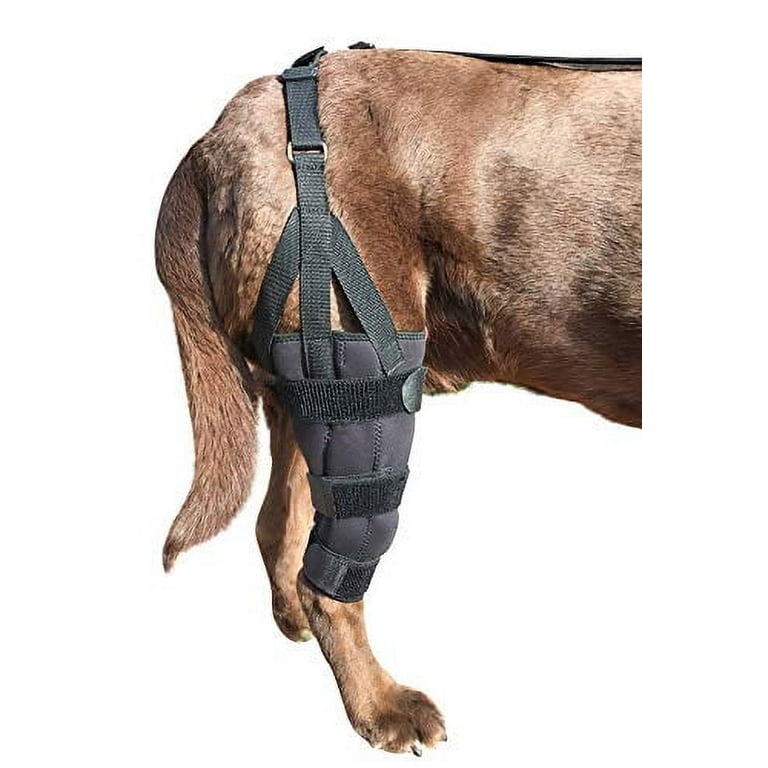 Knee Brace for Dogs - Cruciate Support