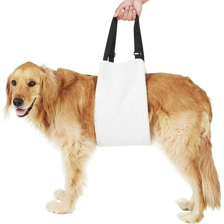 Labra k9 sling lift hotsell
