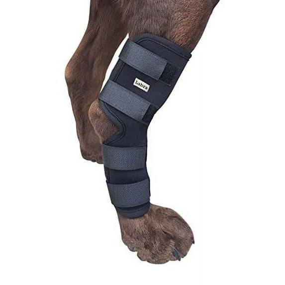 Labra Extra Supportive Dog Canine Rear Leg Hock Joint Wrap Protects Wounds as They Heal Compression Brace Heals and Prevents Injuries and Sprains Helps Arthritis