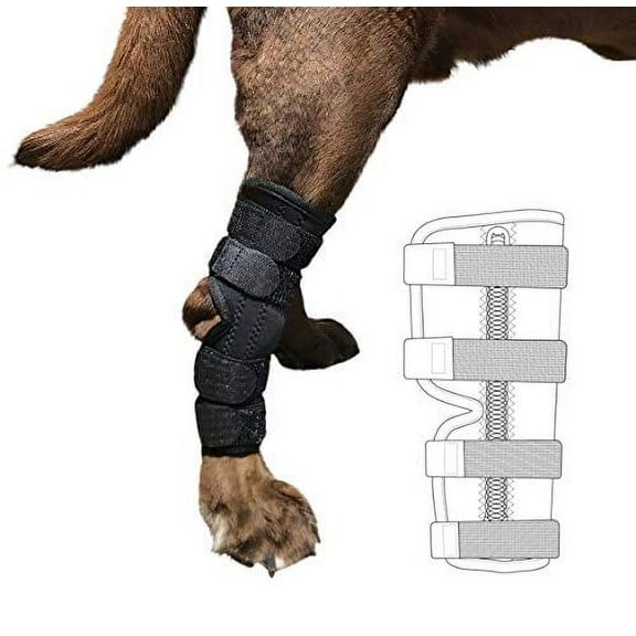 Labra Supportive Dog Rear Leg Hock Joint Wrap Brace with Metal Springs Protects Canine Wounds as They Heal Compression Brace Heals and Prevents Injuries and Sprains Helps Arthritis (Extra Large)