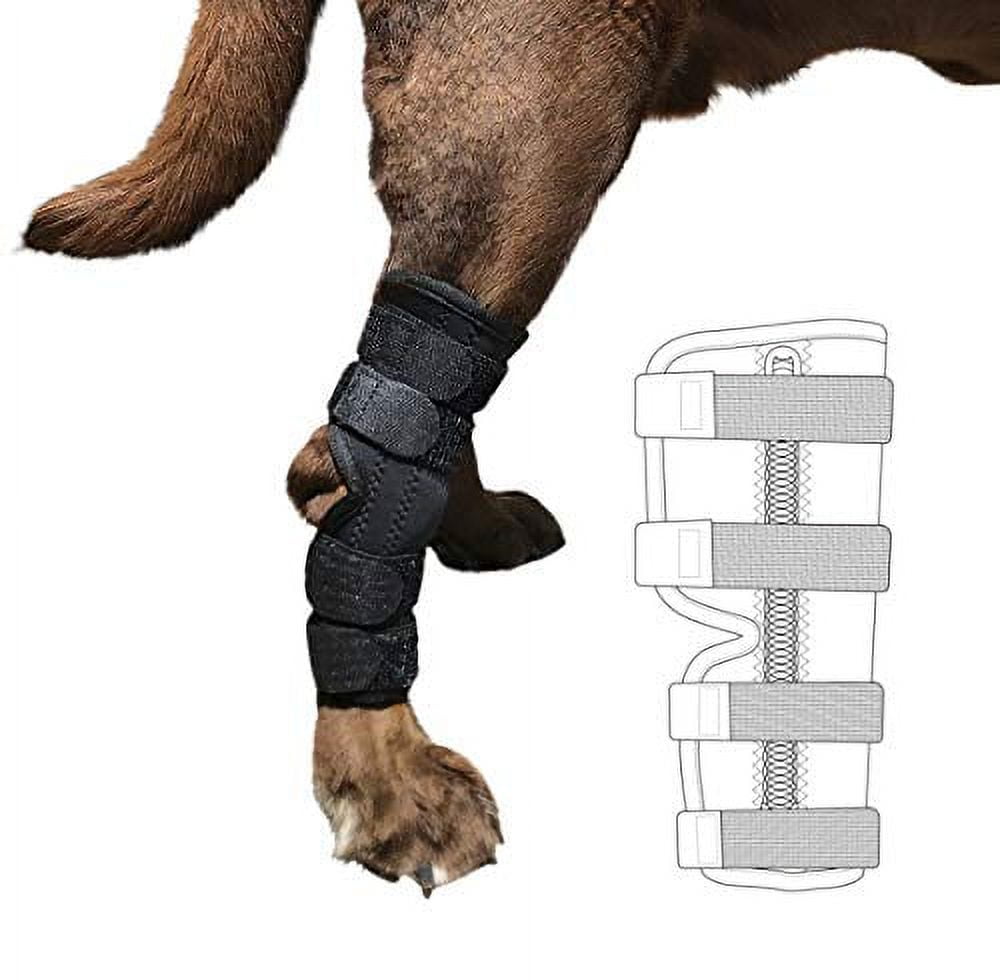 Labra Supportive Dog Rear Leg Hock Joint Wrap Brace with Metal Springs