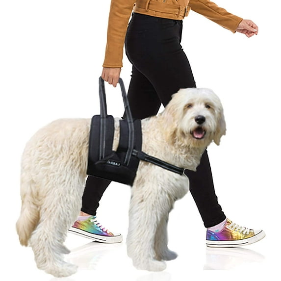 Labra Veterinarian Approved Dog Canine K9 Sling Assist with Chest Strap Adjustable Reflective Straps Support Harness Helps with Loss of Stability Joint Injuries Arthritis ACL Rehabilitation Rehab