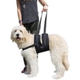 thumbnail image 1 of Labra Veterinarian Approved Dog Canine K9 Sling Assist with Chest Strap Adjustable Reflective Straps Support Harness Helps wi, 1 of 2