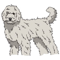 Labradoodle Decal | Indoor/Outdoor | Dog Lover Super Cute Sticker for SUV Windows, Dorm Rooms, Bedroom, Offices | SignMission personalized gift | 36"
