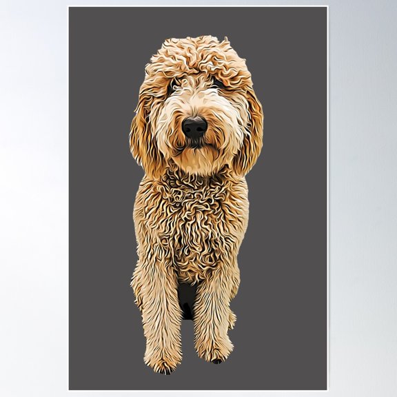Labradoodle Golden Doodle Poster Wall Art, Modern Wall Decor For Living Room Bedroom, 24x36 UNFRAMED