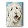 thumbnail image 1 of Labradoodle II Premium Gallery Wrapped Canvas - Ready to Hang, 1 of 9