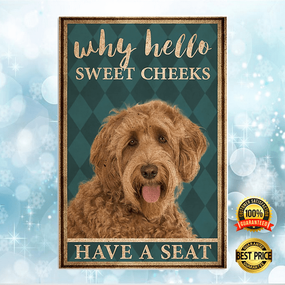 Labradoodle why hello sweet cheeks have a seat poster 11 x 17 Inch Poster