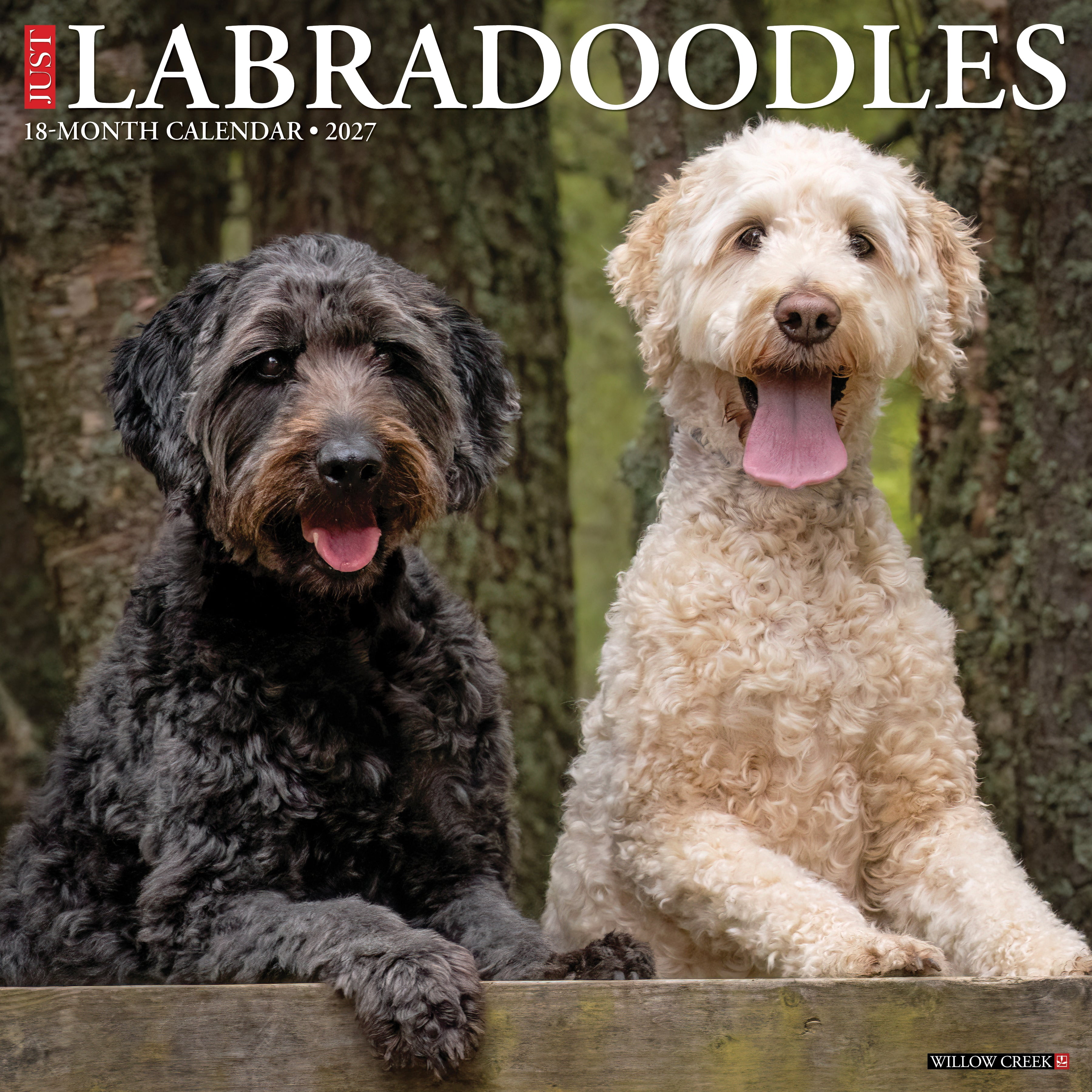 Willow Creek Press, Labradoodles 2027 Wall Calendar