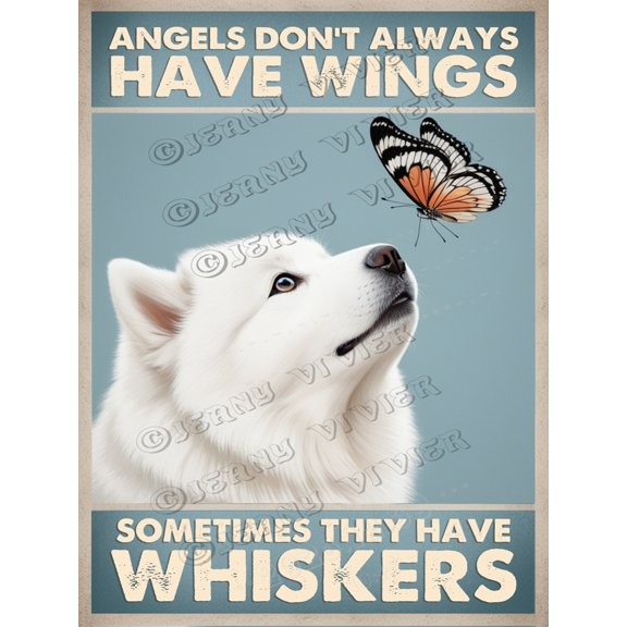 Labrador Aluminum Sign - Angels Don't Always Have Wings, Sometimes They Have Whiskers - Great Metal Sign for Home and Garden - 12x8 Inches