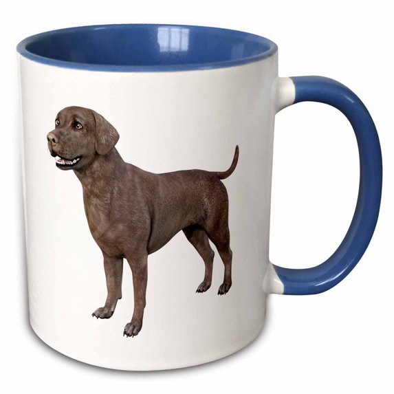 3drose, Labrador Brown Standing and Looking Right, 15oz Two-tone Blue Mug
