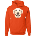 thumbnail image 1 of Labrador Dog Animal Lover Graphic Hoodie Sweatshirt, 1 of 1