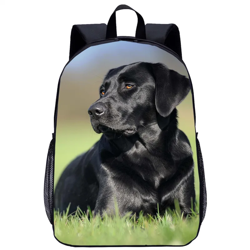 Cool school backpacks online