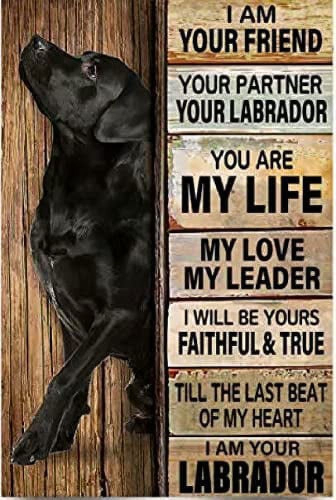 Labrador Dog Diamond Art Kits for Adults,I Am Your Friend Your Labrador ...