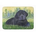 thumbnail image 1 of Labrador Machine Washable Memory Foam Mat, 1 of 1