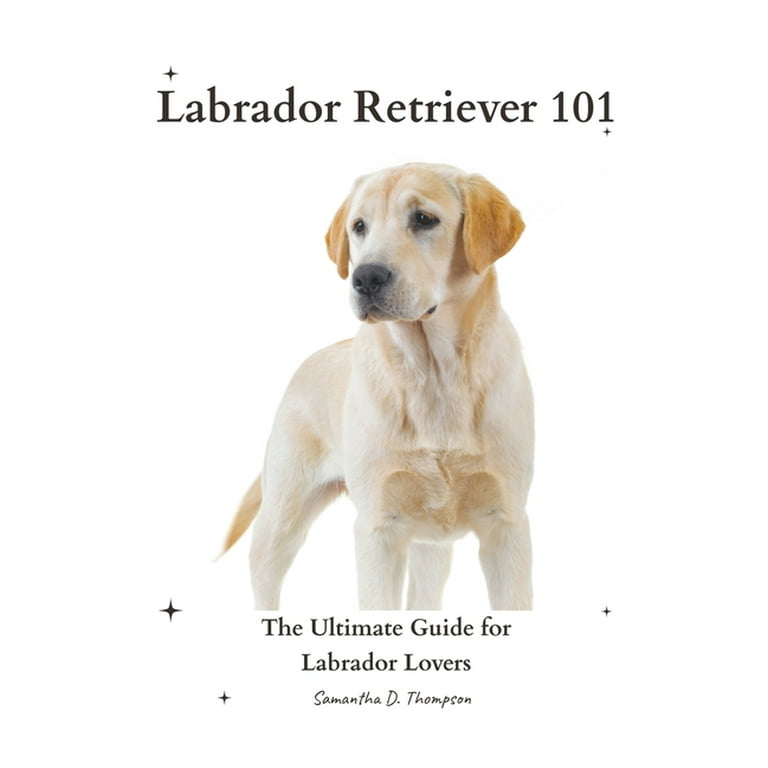 Labrador Retriever 101 The Ultimate Guide for Labrador Lovers