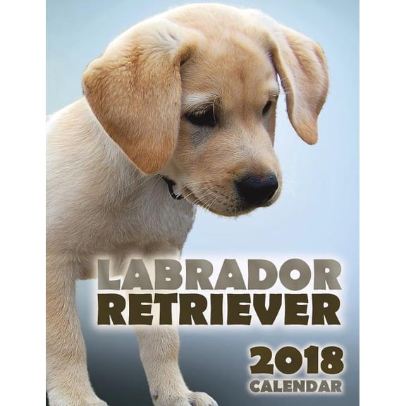 Labrador Retriever 2018 Calendar (Paperback)