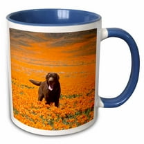 3drose, Labrador Retriever Dog, California - Us05 Zmu0336 - Zandria Muench Beraldo, 15oz Two-tone Blue Mug