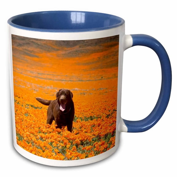 3drose, Labrador Retriever Dog, California - Us05 Zmu0336 - Zandria Muench Beraldo, 15oz Two-tone Blue Mug