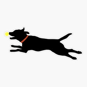 Labrador Retriever Fetch Play Ball Tee Black Lab Dog Lover For Labrador Mom And Labrador Dad Er, Phone Decal Water Bottle Stickers Car Decals, Funny Birthday Gift