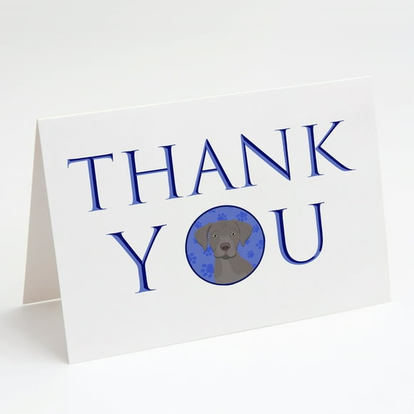 Labrador Retriever Gray Puppy Thank You Greeting Cards and Envelopes Pack of 8 7 in x 5 in