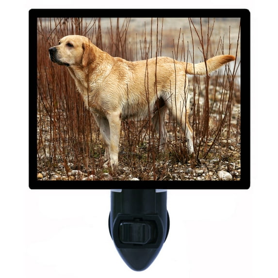 Night Light - Yellow Lab. | Labrador Retriever Theme, Includes Free Switchable Insert, 4W Bulb, E12 Base