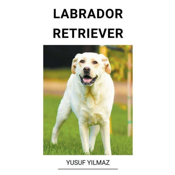Labrador Retriever, (Paperback)