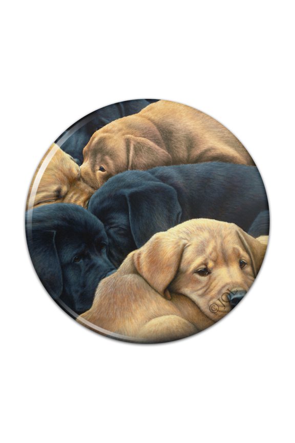 Labrador Retriever Puppies Sleeping Litter Pinback Button Pin