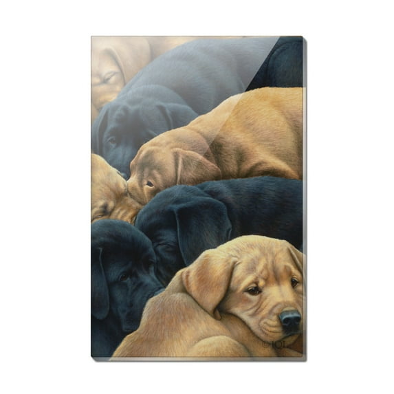 Labrador Retriever Puppies Sleeping Litter Rectangle Acrylic Fridge Refrigerator Magnet