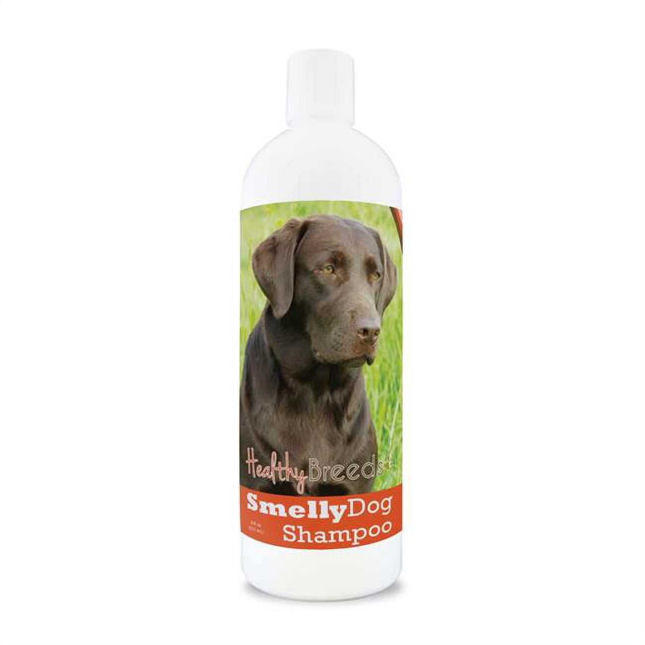 Labrador Retriever Smelly Dog Baking Soda Shampoo
