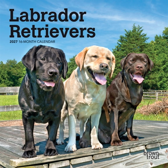 Labrador Retrievers 2027 7 X 14 Inch (Hanging) Monthly Mini Wall Calendar, (Paperback)
