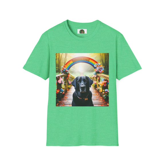 Labrador Retrievers