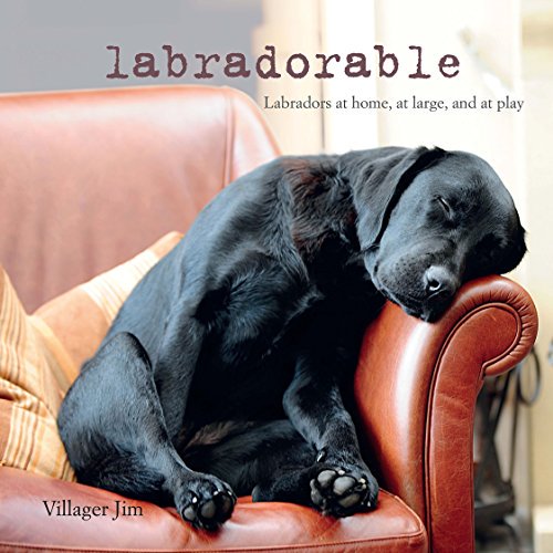 Pre-Owned Labradorable: Labradors at Home, at Large, and at Play (Hardcover) 1782492755 9781782492757
