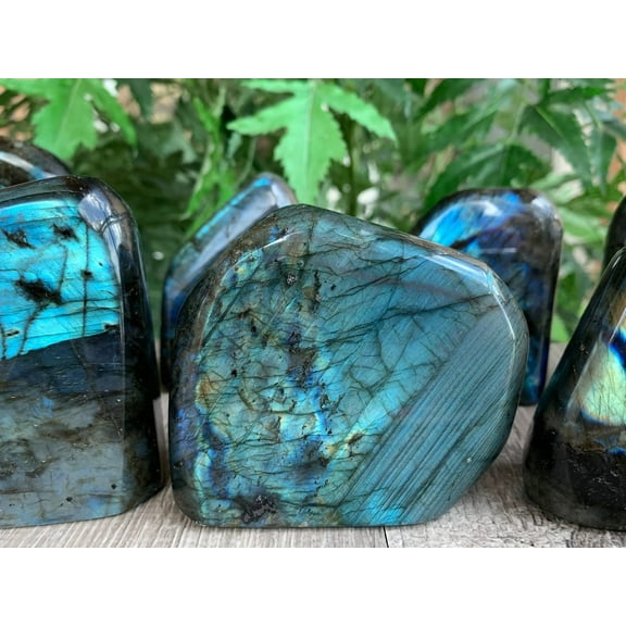 Labradorite Freeform, High Flash Free Standing Display Specimens, Polished Labradorite Free Form (0.5-1 lb)