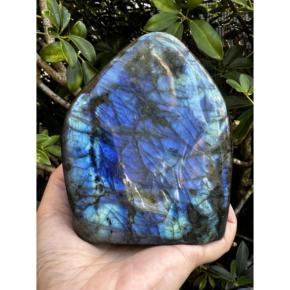 Labradorite Freeform, High Flash Free Standing Display Specimens, Polished Labradorite Free Form (2-3 lbs)