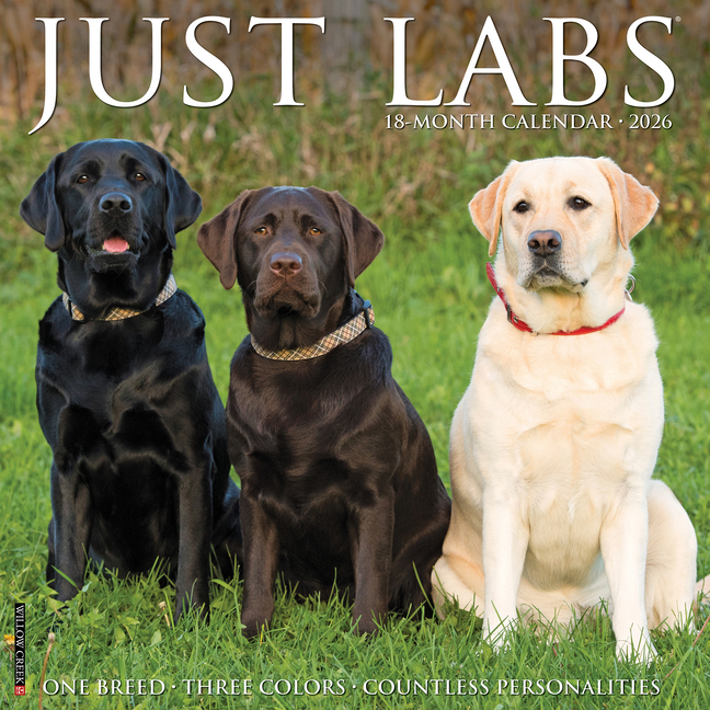 Labs 2026 Wall Calendar, (Paperback)