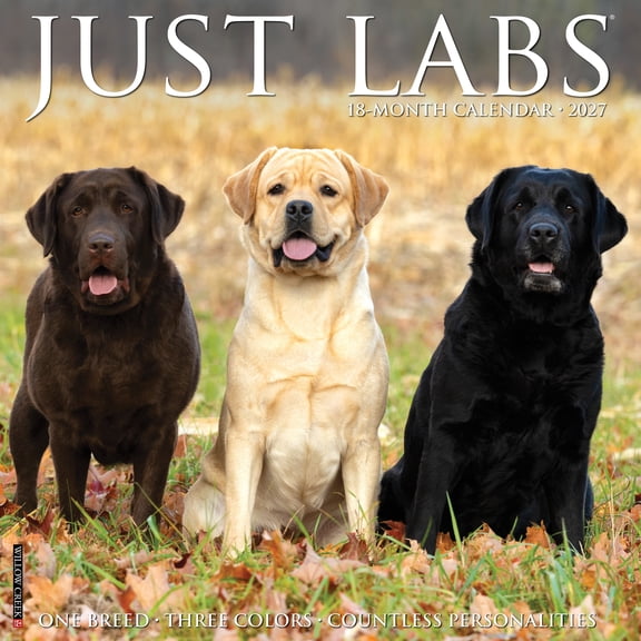 Willow Creek Press, Labs 2027 Wall Calendar