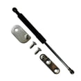 thumbnail image 1 of Labwork Tailgate Dampening Assist Strut DZ43206 Fit for Ford Ranger 2019-2020, 1 of 5