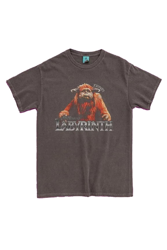 Adult Friend Ludo Vintage T-Shirt